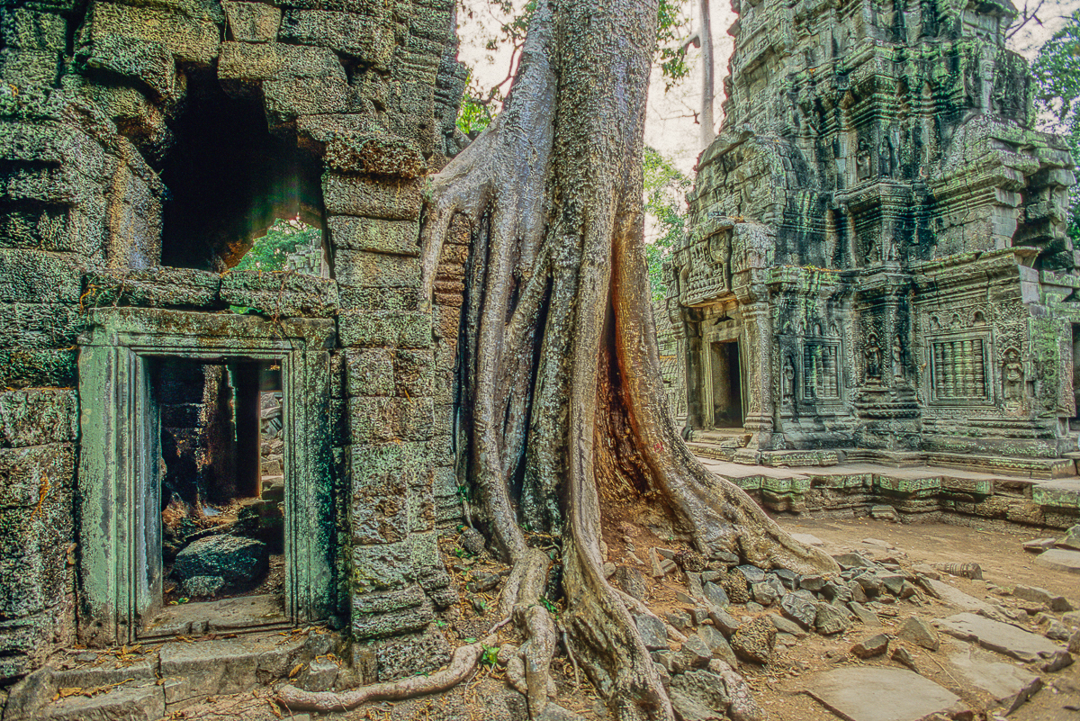 <pre>Image: 20     File: 09 SriLanka 30 14 TaProhm2