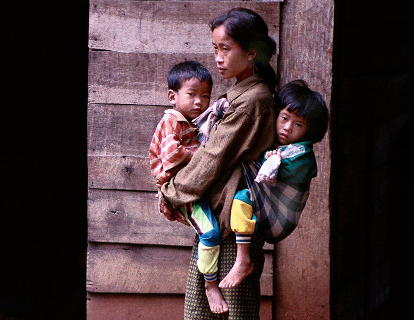 Laos black tai mother crop3