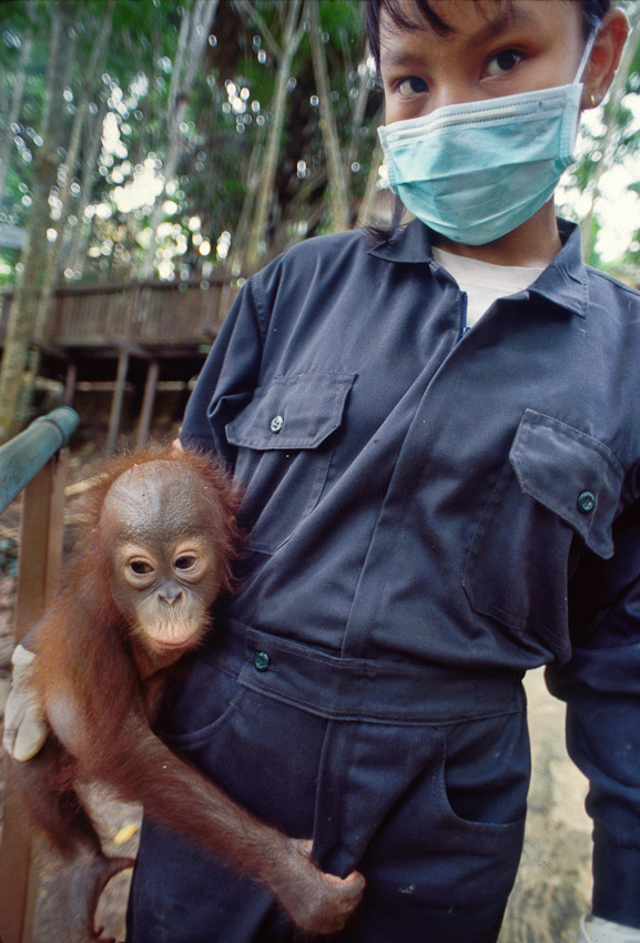 Orang and nurse